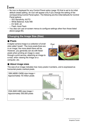 Page 3838Snapshot Tutorial
NOTE
• No icon is displayed for any Control Panel option (page 10) that is set to its initial 
default (reset) setting. An icon will appear only if you change the setting of the 
corresponding Control Panel option. The following are the initial defaults for Control 
Panel options.
– ISO Sensitivity: AUTO
– White Balance: Auto WB
– EV Shift: ±0
– Flash: Auto Flash
• You also can use on-screen menus to configure settings other than those listed 
above (page 85).
.Pixels
A digital camera...