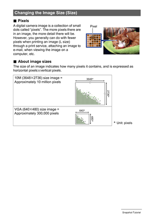 Page 38
38Snapshot Tutorial
.Pixels
A digital camera image is a collection of small 
dots called “pixels”. The more pixels there are 
in an image, the more detail there will be. 
However, you generally can do with fewer 
pixels when printing an image (L size) 
through a print service, attaching an image to 
e-mail, when viewing the image on a 
computer, etc.
.About image sizes
The size of an image indicates how many pi xels it contains, and is expressed as 
horizontal pixelsxvertical pixels.
Changing the Image...