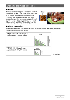 Page 3232Snapshot Tutorial
.Pixels
A digital camera image is a collection of small 
dots called “pixels”. The more pixels there are 
in an image, the more detail there will be. 
However, you generally can do with fewer 
pixels when printing an image (L size) through 
a print service, attaching an image to e-mail, 
when viewing the image on a computer, etc.
.About image sizes
The size of an image indicates how many pixels it contains, and is expressed as 
horizontal pixelsxvertical pixels.
Changing the Image...