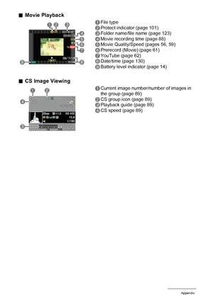 Page 158158Appendix
.Movie Playback
.CS Image Viewing
1File type
2Protect indicator (page 101)
3Folder name/file name (page 123)
4Movie recording time (page 88)
5Movie Quality/Speed (pages 56, 59)
6Prerecord (Movie) (page 61)
7YouTube (page 62)
8Date/time (page 130)
9Battery level indicator (page 14)
1Current image number/number of images in 
the group (page 89)
2CS group icon (page 89)
3Playback guide (page 89)
4CS speed (page 89)
123
4
5
67
89
12
4
3
B
Downloaded From camera-usermanual.com Casio Manuals 