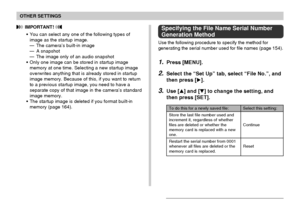 Page 162OTHER SETTINGS
162
 IMPORTANT! 
•You can select any one of the following types of
image as the startup image.
—The camera’s built-in image
—A snapshot
—The image only of an audio snapshot
•Only one image can be stored in startup image
memory at one time. Selecting a new startup image
overwrites anything that is already stored in startup
image memory. Because of this, if you want to return
to a previous startup image, you need to have a
separate copy of that image in the camera’s standard
image memory....