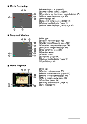 Page 1111
.Movie Recording
.Snapshot Viewing
.Movie Playback
1Recording mode (page 47)
2White balance setting (page 65)
3Remaining movie memory capacity (page 47)
4Movie recording time (page 47)
5Flash (page 38)
6Exposure compensation (page 64)
7Battery level indicator (page 19)
8Movie recording in progress (page 47)
1File type
2Protect indicator (page 75)
3Folder name/file name (page 100)
4Snapshot image quality (page 64)
5Snapshot image size (page 34)
6ISO sensitivity (page 66)
7Aperture value
8Shutter speed...