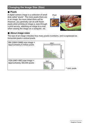 Page 3030Snapshot Tutorial
.Pixels
A digital camera image is a collection of small 
dots called “pixels”. The more pixels there are 
in an image, the more detail there will be. 
However, you generally can do with fewer 
pixels when printing an image (L size) through 
a print service, attaching an image to e-mail, 
when viewing the image on a computer, etc.
.About image sizes
The size of an image indicates how many pixels it contains, and is expressed as 
horizontal pixelsxvertical pixels.
Changing the Image...