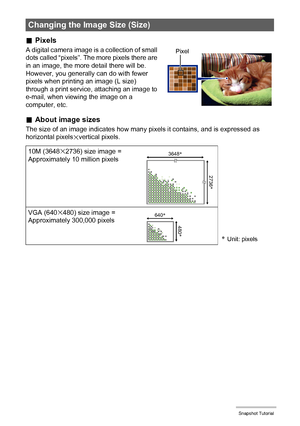 Page 38
38Snapshot Tutorial
.Pixels
A digital camera image is a collection of small 
dots called “pixels”. The more pixels there are 
in an image, the more detail there will be. 
However, you generally can do with fewer 
pixels when printing an image (L size) 
through a print service, attaching an image to 
e-mail, when viewing the image on a 
computer, etc.
.About image sizes
The size of an image indicates how many pi xels it contains, and is expressed as 
horizontal pixelsxvertical pixels.
Changing the Image...