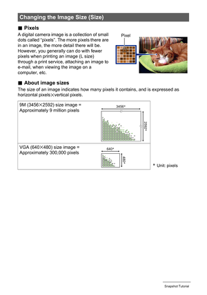 Page 3535Snapshot Tutorial
.Pixels
A digital camera image is a collection of small 
dots called “pixels”. The more pixels there are 
in an image, the more detail there will be. 
However, you generally can do with fewer 
pixels when printing an image (L size) 
through a print service, attaching an image to 
e-mail, when viewing the image on a 
computer, etc.
.About image sizes
The size of an image indicates how many pixels it contains, and is expressed as 
horizontal pixelsxvertical pixels.
Changing the Image...