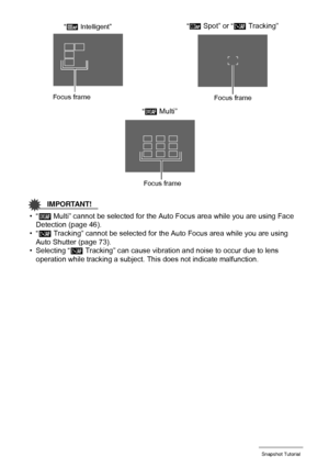 Page 4444Snapshot Tutorial
IMPORTANT!
•“È Multi” cannot be selected for the Auto Focus area while you are using Face 
Detection (page 46).
•“Ë
 Tracking” cannot be selected for the Auto Focus area while you are using 
Auto Shutter (page 73).
• Selecting “Ë
 Tracking” can cause vibration and noise to occur due to lens 
operation while tracking a subject. This does not indicate malfunction.
“Û Spot” or “Ë Tracking”
“È Multi”
Focus frame
Focus frame
“Ò Intelligent”
Focus frame
Downloaded From camera-usermanual.com...