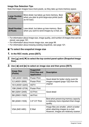 Page 3838Snapshot Tutorial
Image Size Selection Tips
Note that larger images have more pixels, so they take up more memory space.
• For information about image size, image quality, and number of images that can be 
stored, see page 191.
• For information about movie image size, see page 96.
• For information about resizing existing snapshots, see page 121.
.To select the snapshot image size
1.In the REC mode, press [SET].
2.Use [8] and [2] to select the top control panel option (Snapshot Image 
Size).
3.Use [4]...