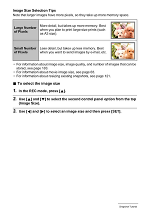 Page 39
39Snapshot Tutorial
Image Size Selection Tips
Note that larger images have more pixels, so they take up more memory space.
• For information about image size, image quality, and number of images that can be  stored, see page 183.
• For information about movie image size, see page 65.
• For information about resizing  existing snapshots, see page 121.
.To select the image size
1.In the REC mode, press [ 8].
2.Use [ 8] and [ 2] to select the second control panel option from the top 
(Image Size).
3.Use...