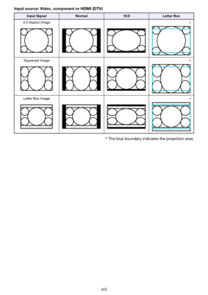 Page 4545
Input source: Video, component or HDMI (DTV)
*The blue boundary indicates the projection area.
Input SignalNormal16:9Letter Box
4:3 Aspect Image
*
Squeezed Image
*
Letter Box Image
* 