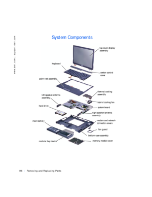 Page 6116Removing and Replacing Parts
www.dell.com | support.dell.com
System Components
palm rest assembly
main battery
bottom case assemblysystem board
center control 
cover
hybrid cooling fan
thermal cooling 
assembly
left speaker/antenna  
assembly
modular bay devicememory module cover
fan guard
keyboardtop cover display 
assembly
hard drive
right speaker/antenna  
assembly
modem and networ
k
connector covers 