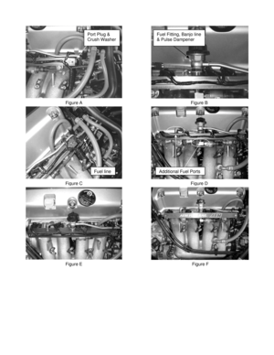 Page 5Figure A 
Port Plug & 
Crush Washer 
Figure B 
Fuel Fitting, Banjo line 
& Pulse Dampener 
Figure C
Fuel lineAdditional Fuel Ports 
Figure D 
Figure E Figure F  