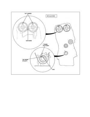 Page 7 
 
 
 
 
 
 
 
 
 
 
 
 
 
 
 
 
 
B16 & B18C 