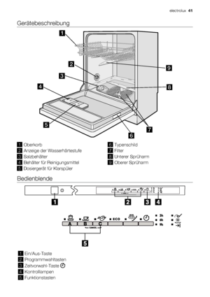 Page 41Gerätebeschreibung
1Oberkorb
2Anzeige der Wasserhärtestufe
3Salzbehälter
4Behälter für Reinigungsmittel
5Dosiergerät für Klarspüler
6Typenschild
7Filter
8Unterer Sprüharm
9Oberer Sprüharm
Bedienblende
1Ein/Aus-Taste
2Programmwahltasten
3
Zeitvorwahl-Taste 
4Kontrolllampen
5Funktionstasten
electrolux  41
 