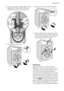 Page 212. Remove the power supply cable and the
draining and inlet hose from the hose
holders on the rear of the appliance.
3. Unscrew the three bolts.
4. Slide out the relevant plastic spacers.
5. Fill the smaller upper hole and the two
large ones with the corresponding plas-
tic plug caps supplied in the bag con-
taining the instruction booklet.
Positioning
Install the machine on a flat hard floor.
Make sure that air circulation around the
machine is not impeded by carpets, rugs
etc. Check that the machine...