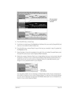 Page 233Appendix CPage 233
4. From the Edit menu, choose Copy.
5. Scroll down to a blank area of the Maptable.xls file (below the rows used for Sample4.xlt), and 
click on a row number to select a blank row.
6. From the Edit menu, choose Paste. A copy of the rows you selected in step 3 is pasted into 
the Maptable.xls file.
7. Name the table. In the cell immediately to the right of the cell entitled Template Name, enter 
the exact file name of your custom Expense Report template. 
8. Define the number of...