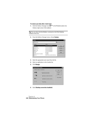 Page 244Section 9
236 Maintaining Your Phone
To restore your data after a hard reset:
1.
Click the HotSync Manager icon Ô
 in the Windows system tray 
(bottom-right corner of the taskbar).
Ti p :  You can also click the HotSync command on the Palm Desktop software menu bar.
2.From the HotSync Manager menu, choose Custom.
3.Select the appropriate user name from the list.
4.Select an application in the Conduit list.
5.Click Change.
6.Select Desktop overwrites handheld. 