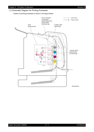 Page 5596 - 2 Chapter 6   Principles of Operation
Epson AcuLaser C2900NRevision B
Confidential
1.2 Schematic Diagram for Printing Processes
Outline of printing processes is shown in the figure below.
MiS06002SA
ROS
[(2)Exposure]Drum Cartridge
[(1)Charge]
[(3)Development]
[(4)Transfer]
[(5)Cleaning]
FUSER UNIT
[(6)Fusing]
Transfer ASSY
[(4)Transfer]
[(7)Cleaning]: 
Laser beam
: Paper transfer 