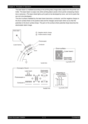 Page 5626 - 5 Chapter 6   Principles of Operation
Epson AcuLaser C2900NRevision B
Confidential - The laser beam is irradiated according to the printing data (image data) output from the printer con-
troller. The laser beam is output only when printing data is pixels (micro points composing charac-
ters or pictures). (The laser diode lights up for parts to be developed by toner, and not for parts that 
are not to be developed.)
The drum surface irradiated by the laser beam becomes a conductor, and the negative...