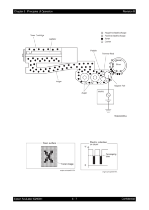 Page 5646 - 7 Chapter 6   Principles of Operation
Epson AcuLaser C2900NRevision B
Confidential
HVPSDrum
Wsb06005KA
: Negative electric charge
: Positive electric charge
: Toner
: Carrier
Trimmer Rod Paddle Toner Cartridge
Auger Auger
Magnet Roll
Agitator
engine principle0013FAengine principle0014FA 