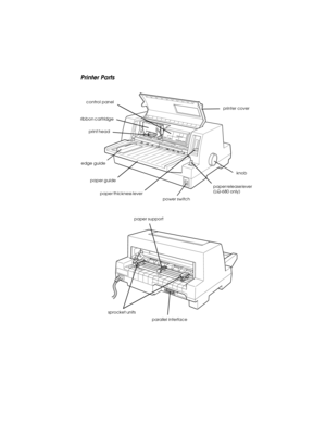 Page 176R
Proof Sign-off:
Takahashi, Kono _______
Takahashi _______
Hoadley _______R4C4590
Rev. C
A5 size PARTS.FM
10/30/00 Pass 1
Printer Parts
printer cover
knob
paper release lever 
(LQ-680 only) print head ribbon cartridge
edge guidecontrol panel
paper guide
paper thickness lever
power switch
paper support
parallel interface
sprocket units 