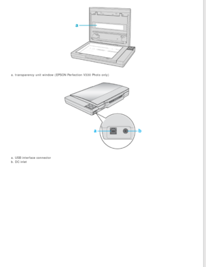 Page 15
a. transparency unit window (EPSON Perfection V330 Photo only)
a. USB interface connector 
b. DC inlet 