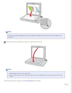 Page 19
Note:
If you are scanning multiple photos at once, position each photo at leas\
t 0.8 inch (20 mm) apart from 
the others.
Close the scanner cover gently so that your original does not move.
Note:
Always keep the document table clean.
Do not leave photos on the document table for an extended period of time\
 as they may stick to the 
glass.
To scan your document or photo, see Starting EPSON Scan for details. Top
  