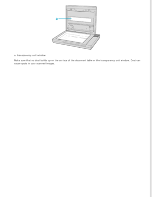 Page 71
a. transparency unit window
Make sure that no dust builds up on the surface of the document table or\
 the transparency unit window. Dust can 
cause spots in your scanned images. 