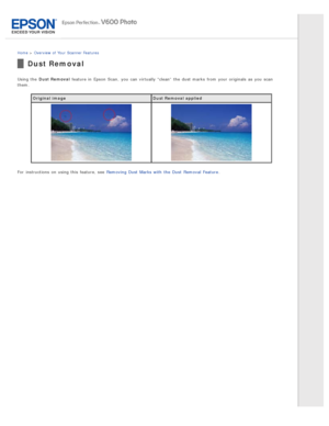 Page 14Home > Overview  of Your  Scanner Features
Dust Removal
Using the  Dust Removal  feature in  Epson  Scan,  you  can virtually “clean”  the  dust marks  from your originals  as  you  scan
them.
Original image Dust Removal applied
For  instructions  on  using this  feature, see  Removing Dust  Marks with  the  Dust  Removal  Feature . 