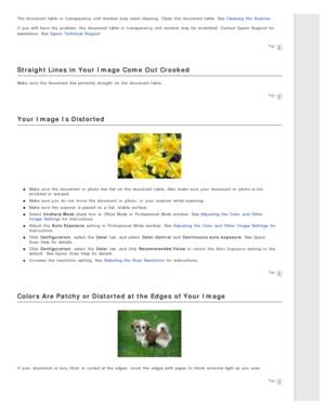 Page 134The  document table or  transparency unit  window may need  cleaning.  Clean  the  document table. See Cleaning  the  Scanner.
If you  still  have  the  problem, the  document table or  transparency unit  window may be  scratched. Contact  Epson  Support for
assistance.  See Epson  Technical Support .
Top
Straight Lines  in Your  Image  Come  Out Crooked
Make  sure the  document lies perfectly straight on  the  document table.
Top
Your  Image  Is Distorted
Make  sure the  document or  photo lies flat  on...