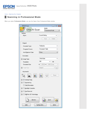 Page 44Home > Scanning  Your  Originals
Scanning in Professional Mode
When you  select  Professional  Mode , you  see  the  Epson  Scan  Professional  Mode window. 