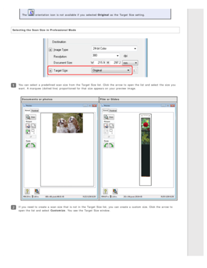 Page 64The   orientation  icon  is not  available  if  you  selected  Original as  the  Target Size setting.
Selecting the  Scan Size  in Professional  Mode
You can select  a  predefined  scan size  from the  Target Size list.  Click the  arrow to  open the  list and select  the  size  you
want.  A marquee  (dotted line)  proportioned  for that  size  appears on  your preview  image. Documents  or photos Film or Slides
If you  need  to  create  a  scan size  that  is not  in  the  Target Size list,  you  can...