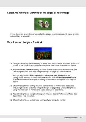 Page 313Scanning Problems313
Colors Are Patchy or Distorted at the Edges of Your Image
If your document is very thick or warped at the edges, cover the edges with paper to block 
external light as you scan.
Your Scanned Image is Too Dark
❏Change the Display Gamma setting to match your output device, such as a monitor or 
printer, in the Epson Scan Configuration window. See Epson Scan Help for details.
❏Adjust the Auto Exposure setting in Epson Scan’s Professional Mode window. See 
Adjusting the Color and Other...