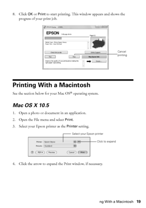 Page 19Printing With a Macintosh19
8. Click OK or Print to start printing. This window appears and shows the 
progress of your print job.
Printing With a Macintosh
See the section below for your Mac OS® operating system.
Mac OS X 10.5
1. Open a photo or document in an application.
2. Open the File menu and select Print.
3. Select your Epson printer as the Printer setting.
4. Click the arrow to expand the Print window, if necessary.
Cancel 
printing
Click to expand
Select your Epson printer
 