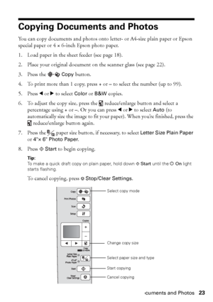 Page 23Copying Documents and Photos23
Copying Documents and Photos
You can copy documents and photos onto letter- or A4-size plain paper or Epson 
special paper or 4 × 6-inch Epson photo paper.
1. Load paper in the sheet feeder (see page 18).
2. Place your original document on the scanner glass (see page 22).
3. Press the 
Copy button.
4. To print more than 1 copy, press + or – to select the number (up to 99).
5. Press lorrto select 
Color or B&W copies.
6. To adjust the copy size, press the  reduce/enlarge...