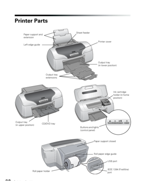 Page 9090Solving Problems
Printer Parts
Paper support and 
extensionSheet feeder
Left edge guide
Printer cover
Output tray 
(in upper position)
Output tray 
extensions
Output tray 
(in lower position)
CD/DVD tray
Ink cartridge 
holder (in home 
position)
Buttons and lights 
(control panel)
Roll paper edge guide
Roll paper holderIEEE 1394 (FireWire) 
port USB port
Paper support closed
 