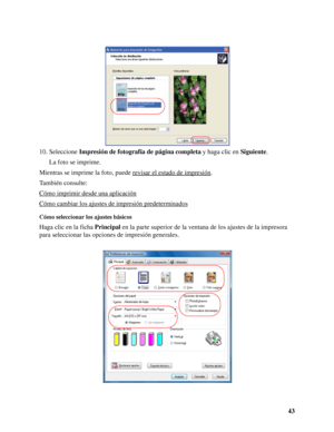 Page 4343 10. Seleccione Impresión de fotografía de página completa y haga clic en Siguiente.
La foto se imprime.
Mientras se imprime la foto, puede revisar el estado de impresión
.
También consulte:
Cómo imprimir desde una aplicación
Cómo cambiar los ajustes de impresión predeterminados
Cómo seleccionar los ajustes básicos
Haga clic en la ficha Principal en la parte superior de la ventana de los ajustes de la impresora 
para seleccionar las opciones de impresión generales.
 