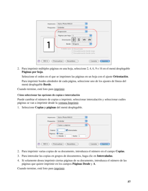 Page 5757 2. Para imprimir múltiples páginas en una hoja, seleccione 2, 4, 6, 9 o 16 en el menú desplegable 
Páginas por hoja.
Seleccione el orden en el que se imprimen las páginas en un hoja con el ajuste Orientación.
Para imprimir bordes alrededor de cada página, seleccione uno de los ajustes de líneas del 
menú desplegable Borde.
Cuando termine, está listo para imprimir
.
Cómo seleccionar las opciones de copias e intercalación
Puede cambiar el número de copias a imprimir, seleccionar intercalación y...