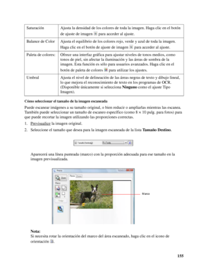 Page 155155
Cómo seleccionar el tamaño de la imagen escaneada
Puede escanear imágenes a su tamaño original, o bien reducir o ampliarlas mientras las escanea. 
También puede seleccionar un tamaño de escaneo específico (como 8 × 10 pulg. para fotos) para 
que puede recortar la imagen utilizando las proporciones correctas.
1. Previsualice
 la imagen original.
2. Seleccione el tamaño que desea para la imagen escaneada de la lista Ta m a ñ o  D e s t i n o.
Aparecerá una línea punteada (marco) con la proporción...