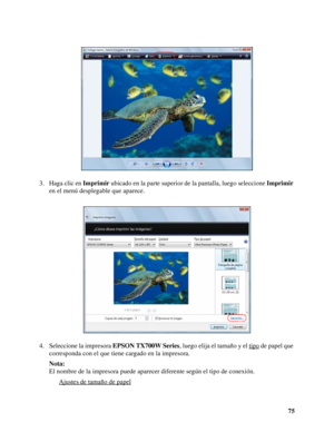 Page 7575 3. Haga clic en Imprimir ubicado en la parte superior de la pantalla, luego seleccione Imprimir 
en el menú desplegable que aparece.
4. Seleccione la impresora EPSON TX700W Series, luego elija el tamaño y el tipo
 de papel que 
corresponda con el que tiene cargado en la impresora.
Nota:
El nombre de la impresora puede aparecer diferente según el tipo de conexión.
Ajustes de tamaño de papel
 