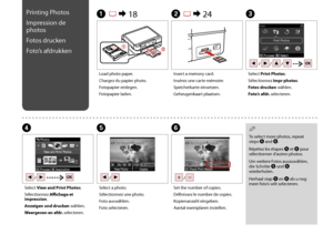 Page 42

Printing Photos
Impression de 
photos
Fotos drucken
Foto’s afdrukken
A R & 18B R & 24C
Load photo paper.
Chargez du papier photo.
Fotopapier einlegen.
Fotopapier laden.
Insert a memory card.
Insérez une carte mémoire.
Speicherkarte einsetzen.
Geheugenkaart plaatsen.
Select Print Photos.
Sélectionnez Impr photos.
Fotos drucken wählen.
Foto’s afdr. selecteren.
F
Set the number of copies.
Définissez le nombre de copies.
Kopienanzahl eingeben.
Aantal exemplaren instellen.
Select View and Print...