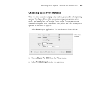 Page 653-65
Printing with Epson Drivers for Macintosh|65
Choosing Basic Print Options
Once you have selected your page setup options, you need to select printing 
options. The Epson driver offers automatic settings that optimize print 
quality and speed when you’re using Epson media. You can also choose 
advanced settings for more control over your printer and color management 
options, as described on page 69. 
1. Select 
Print in your application. You see the screen shown below:
2. Choose 
Stylus Pro 4800...