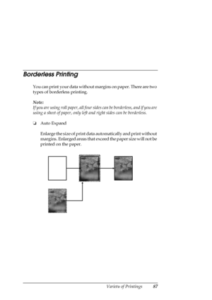 Page 87Variety of Printings87
Borderless Printing
You can print your data without margins on paper. There are two 
types of borderless printing.
Note:
If you are using roll paper, all four sides can be borderless, and if you are 
using a sheet of paper, only left and right sides can be borderless.
❏Auto Expand
Enlarge the size of print data automatically and print without 
margins. Enlarged areas that exceed the paper size will not be 
printed on the paper. 
 