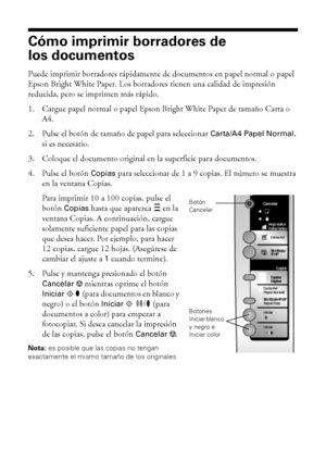 Page 1212Cómo copiar documentos o fotos
Cómo imprimir borradores de 
los documentos
Puede imprimir borradores rápidamente de documentos en papel normal o papel 
Epson Bright White Paper. Los borradores tienen una calidad de impresión 
reducida, pero se imprimen más rápido.
1. Cargue papel normal o papel Epson Bright White Paper de tamaño Carta o 
A4.
2. Pulse el botón de tamaño de papel para seleccionar 
Carta/A4 Papel Normal, 
si es necesario.
3. Coloque el documento original en la superficie para documentos....