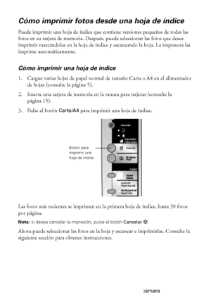 Page 1616Cómo imprimir desde una tarjeta de memoria o una cámara
Cómo imprimir fotos desde una hoja de índice
Puede imprimir una hoja de índice que contiene versiones pequeñas de todas las 
fotos en su tarjeta de memoria. Después, puede seleccionar las fotos que desea 
imprimir marcándolas en la hoja de índice y escaneando la hoja. La impresora las 
imprime automáticamente. 
Cómo imprimir una hoja de índice
1. Cargue varias hojas de papel normal de tamaño Carta o A4 en el alimentador 
de hojas (consulte la...