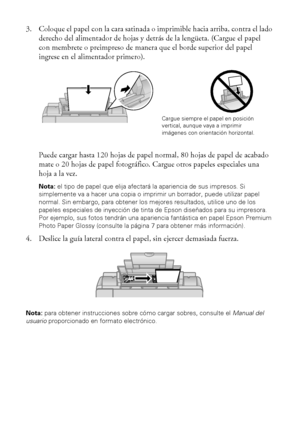 Page 66Cómo cargar papel
3. Coloque el papel con la cara satinada o imprimible hacia arriba, contra el lado 
derecho del alimentador de hojas y detrás de la lengüeta. (Cargue el papel 
con membrete o preimpreso de manera que el borde superior del papel 
ingrese en el alimentador primero).
Puede cargar hasta 120 hojas de papel normal, 80 hojas de papel de acabado 
mate o 20 hojas de papel fotográfico. Cargue otros papeles especiales una 
hoja a la vez. 
Nota: el tipo de papel que elija afectará la apariencia de...