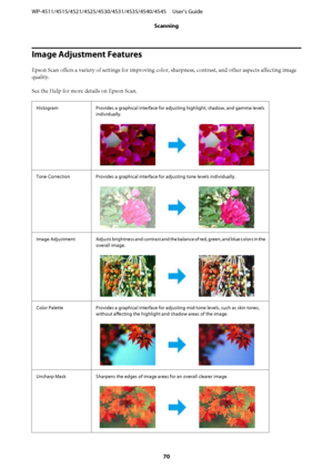 Page 70Image Adjustment Features
Epson Scan offers a variety of settings for improving color, sharpness, contrast, and other aspects affecting image
quality.
See the Help for more details on Epson Scan.
Histogram Provides a graphical interface for adjusting highlight, shadow, and gamma levels
individually.
Tone Correction Provides a graphical interface for adjusting tone levels individually.
Image Adjustment Adjusts brightness and contrast and the balance of red, green, and blue colors in the
overall image....