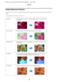 Page 70Image Adjustment Features
Epson Scan offers a variety of settings for improving color, sharpness, contrast, and other aspects affecting image
quality.
See the Help for more details on Epson Scan.
Histogram Provides a graphical interface for adjusting highlight, shadow, and gamma levels
individually.
Tone Correction Provides a graphical interface for adjusting tone levels individually.
Image Adjustment Adjusts brightness and contrast and the balance of red, green, and blue colors in the
overall image....