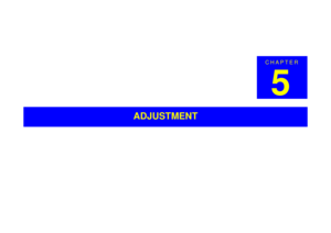 Page 366CHAPTER
5
ADJUSTMENT 