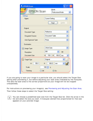 Page 105
If you are going to scan your image to a particular size, you should sel\
ect the Target Size 
setting after previewing it, but before adjusting your scan area (indic\
ated by the marquee). 
This sets the scan area to the correct proportions so your image will no\
t be cropped 
unexpectedly. 
For instructions on previewing your image(s), see Previewing and Adjusting the Scan Area. 
Then follow these steps to select the Target Size setting:
 
You can choose a predefined scan size from the Target Size...