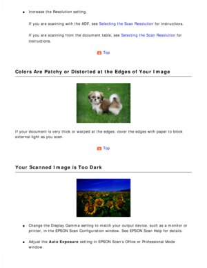 Page 167
l     Increase the Resolution setting. 
If you are scanning with the ADF, see Selecting the Scan Resolution for instructions. 
If you are scanning from the document table, see Selecting the Scan Resolution for 
instructions.
 
Top 
Colors Are Patchy or Distorted at the Edges of Your Image
If your document is very thick or warped at the edges, cover the edges w\
ith paper to block 
external light as you scan.
 
Top 
Your Scanned Image is Too Dark
l     Change the Display Gamma setting to match your...